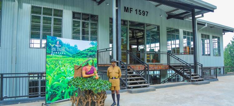 奥瑞提布旅馆-兰波达(Oak Ray Tea Bush)图片