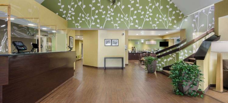 哈尼斯购物中心舒眠酒店(Sleep Inn Hanes Mall)图片