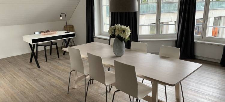 天空之家车站附近乐闻普拉茨公寓(Löwenplatz Apartment Near Station by Airhome)图片