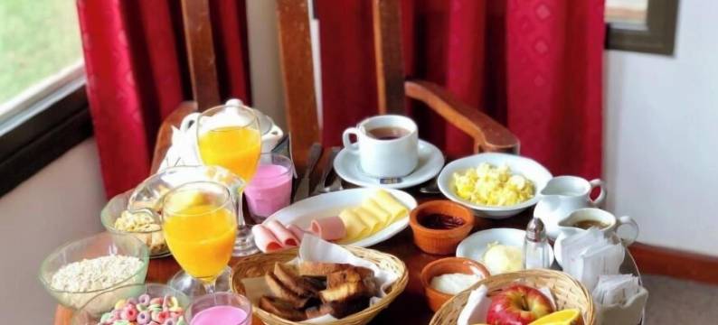 梅洛别墅 Spa 酒店(Villa de Merlo Hotel Spa)图片