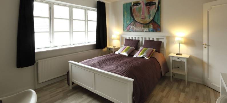 奥尔斯酒店(Aars Hotel)图片