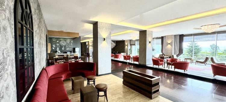 泰基尔达温德姆华美达酒店(Ramada by Wyndham Tekirdag)图片