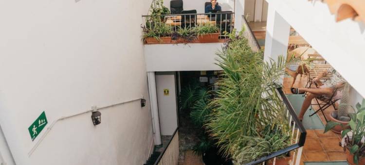 港口巢穴旅馆(Puerto Nest Hostel)图片