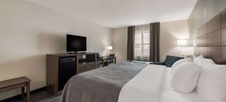 品质酒店机场(Quality Inn Airport)图片