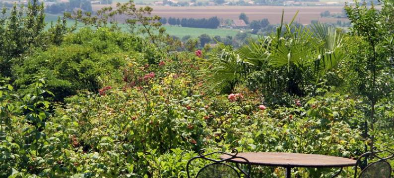 奥伯尔玫瑰住宿加早餐旅馆(Ombre Rose)图片