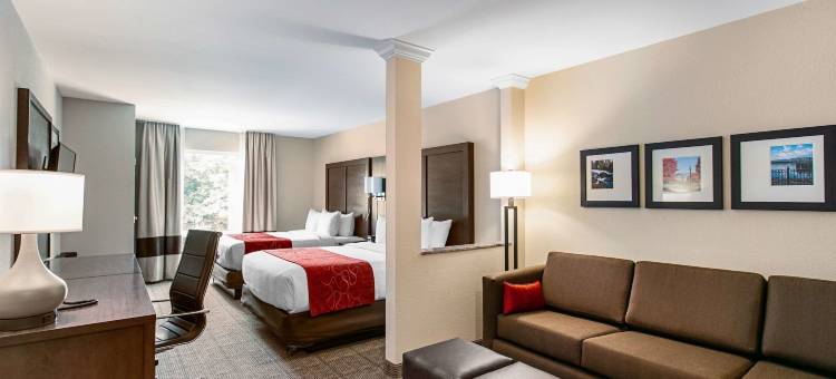 菲什基尔 84 号州际公路附近舒适全套房酒店(Comfort Suites Fishkill Near Interstate 84)图片