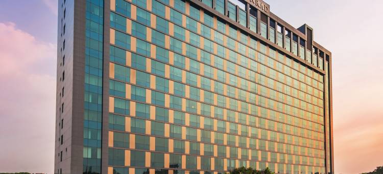 浦那康莱德酒店(Conrad Pune)图片