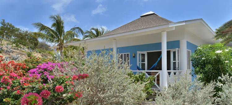 Chogogo潜水和海滩度假村库拉索(Chogogo Dive & Beach Resort Curacao)图片