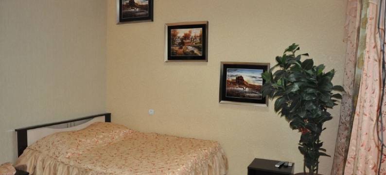 梅加旅馆(Inn Mega)图片