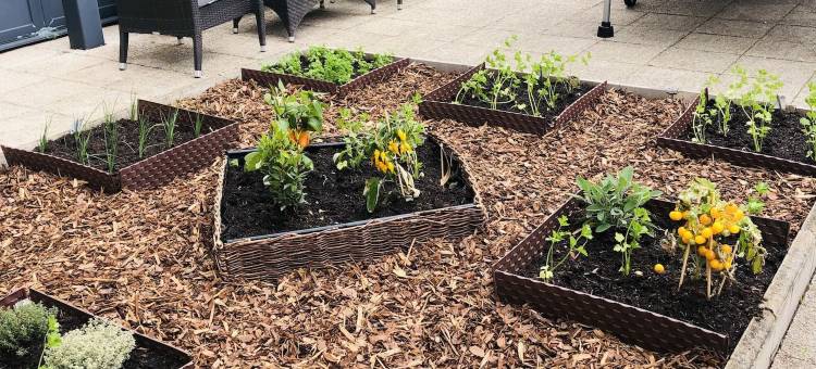 阿让特伊康铂酒店(Campanile Prime - Argenteuil)图片