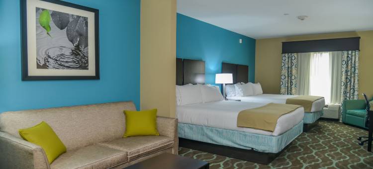 库埃罗智选假日酒店(Holiday Inn Express & Suites Cuero)图片