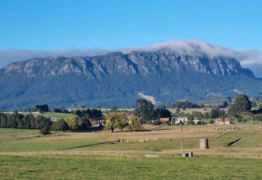 Cradle Alpine Retreat Hotel Overview