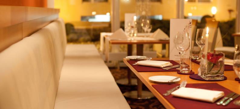 施韦因福特迈尼瑟尔美居酒店(Mercure Hotel Schweinfurt Maininsel)图片