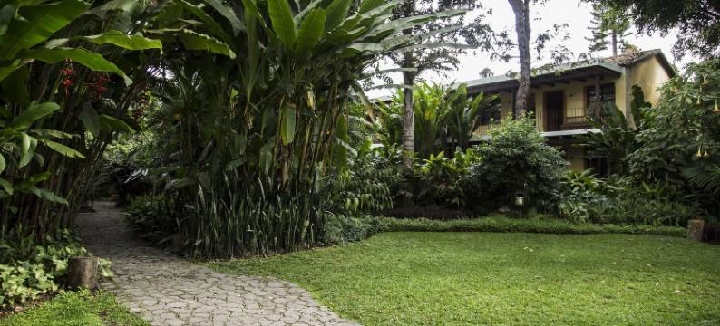 街灯酒店(Hotel Las Farolas)图片