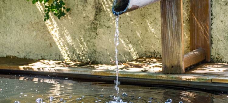 洛吉斯酒店 - 白色小屋,附设小酒馆(Logis Hôtel la Magnanerie - Côté Bistro)图片