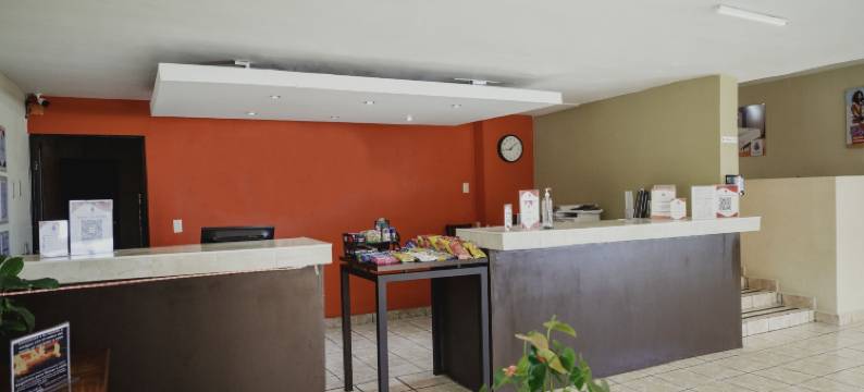 萨尔蒂洛拉富恩特酒店(Hotel la Fuente, Saltillo)图片