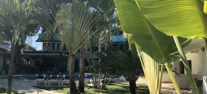 新园酒店(New Garden Hotel)图片