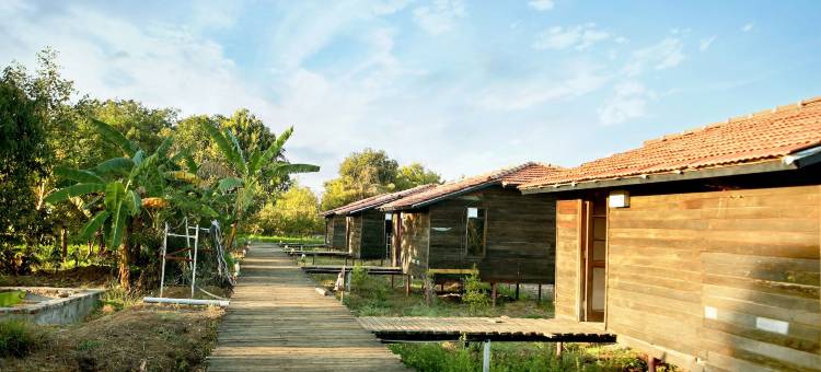 潘加尔湖度假村(Pangarh Lake Retreat)图片