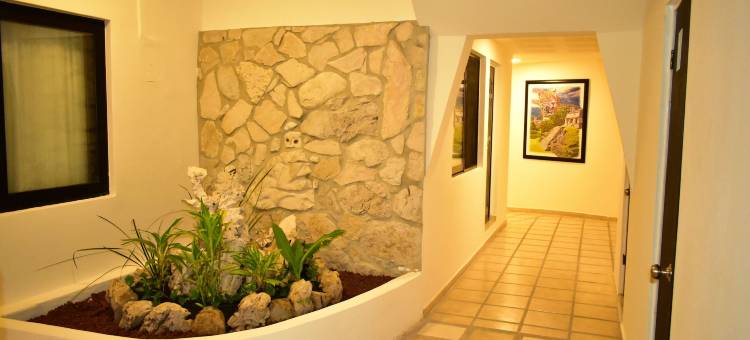 突莉潘思快捷酒店(Maya Tulipanes Express)图片