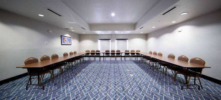 大斯普林拉昆塔温德姆套房酒店(La Quinta Inn & Suites by Wyndham Big Spring)图片