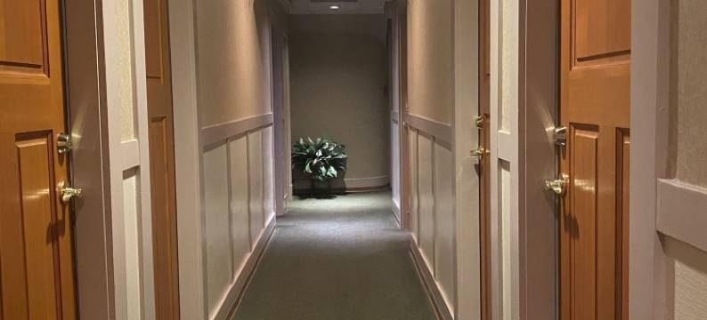 金士顿酒店(Kingston Hotel)图片