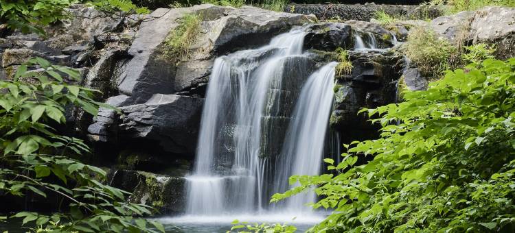 伍德斯托克方式酒店(Woodstock Way Hotel)图片