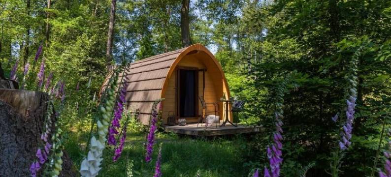 比克赫伊曾庄园(Buitenplaats Beekhuizen)图片