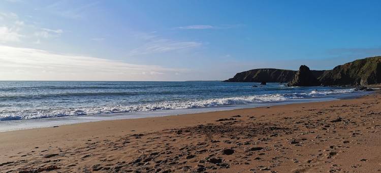 Gorgeous spacious cottage in pretty garden setting in Sunny South East Ireland!图片