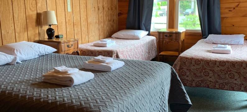 派恩克雷斯特汽车旅馆及小屋(Pine Crest Motel & Cabins)图片