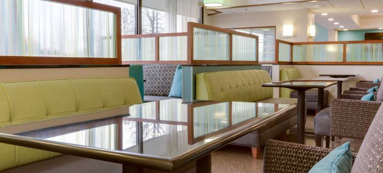 伯明翰-格兰德维尤德鲁里套房酒店(Drury Inn & Suites Birmingham Grandview)图片