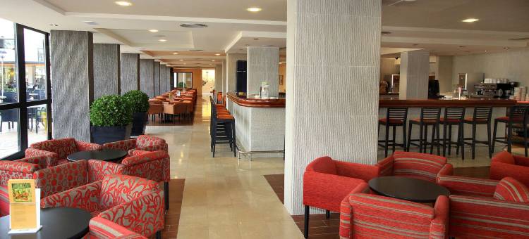 普罗图尔帕梅拉斯海滩酒店 - 全包式(Protur Palmeras Playa Hotel - All Inclusive)图片