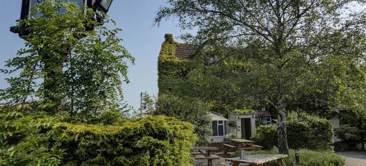 罗盘贝斯特韦斯特酒店(Best Western the Compass Inn)图片