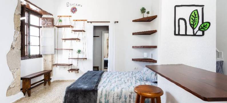 库波青年旅舍(El Hostal del Cubo)图片