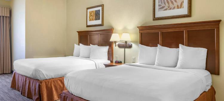 亚特兰大市中心丽怡酒店(Country Inn & Suites by Radisson, Atlanta Downtown)图片