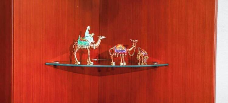 瑞凯特国际酒店(塔什干国际机场华人酒店)(Rakat Komfort Hotel)图片