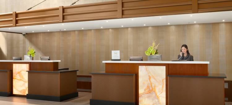 芝加哥市市区北岸希尔顿安泊酒店(Embassy Suites by Hilton Chicago Downtown River North)图片