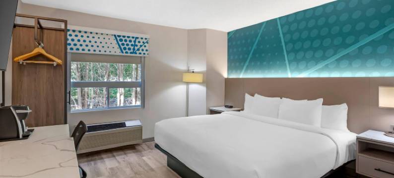 布雷斯桥斯利普酒店(Comfort Inn)图片