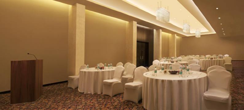 浦那金格希尔顿逸林酒店(DoubleTree by Hilton Pune - Chinchwad)图片