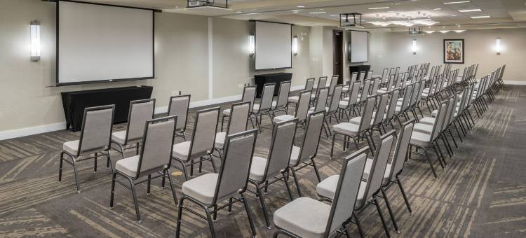 葡萄藤达拉斯沃尔斯堡国际机场希尔顿花园酒店(Hilton Garden Inn DFW North Grapevine)图片