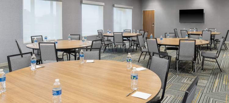 荷兰德希尔顿欣庭套房酒店(Homewood Suites by Hilton Holland)图片