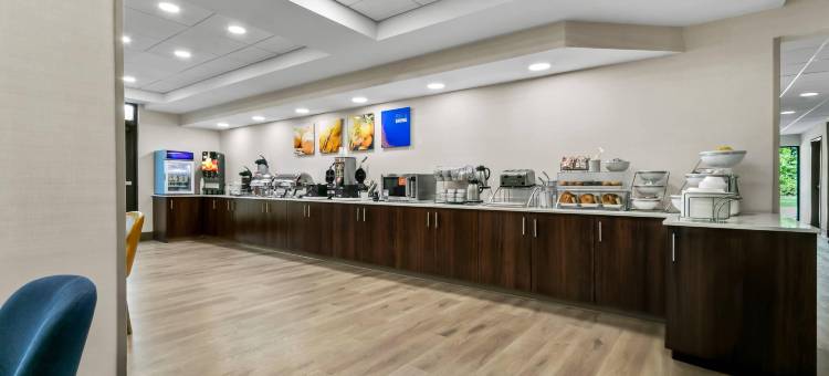 舒适套房酒店大布兰克/弗林特(Comfort Inn & Suites Grand Blanc-Flint)图片