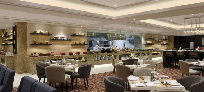 勒克瑙格姆提纳加诺富特酒店(Novotel Lucknow Gomti Nagar)图片