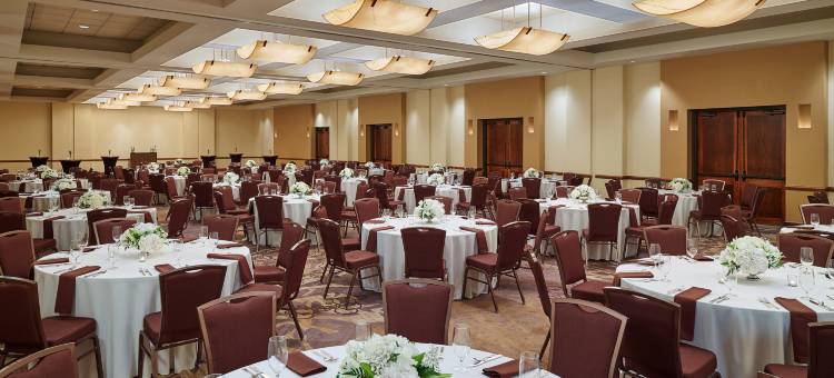 圣安东尼奥机场希尔顿逸林酒店(DoubleTree by Hilton San Antonio Airport)图片