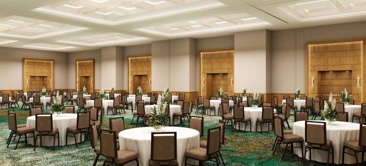 巴亚以塔港万豪水疗度假村(Marriott Puerto Vallarta Resort & Spa)图片