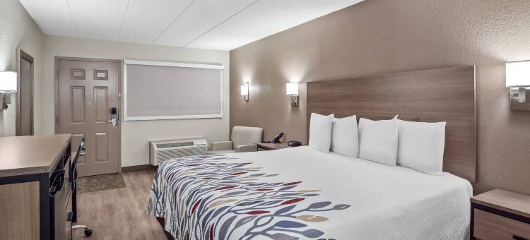 安阿伯 - 密歇根大学南红屋顶酒店(Red Roof Inn Ann Arbor - U of Michigan South)图片