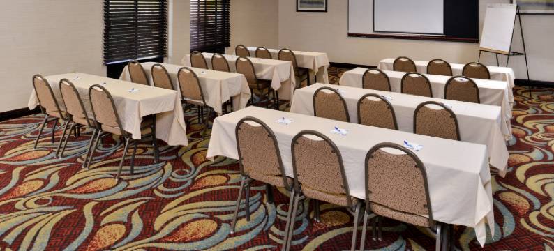 坦帕机场智选假日酒店(Holiday Inn Express & Suites TAMPA AIRPORT by IHG)图片