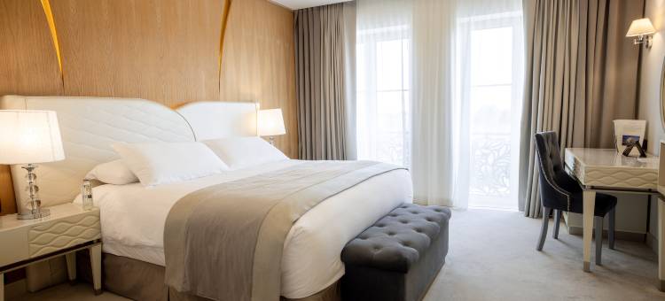 Tresor Le Palais Timisoara，希尔顿古董珍藏酒店(Tresor Le Palais Timisoara, Curio Collection by Hilton)图片