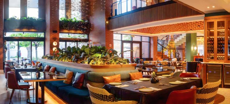 希尔顿 Canopy 开普敦 Longkloof(Canopy by Hilton Cape Town Longkloof)图片