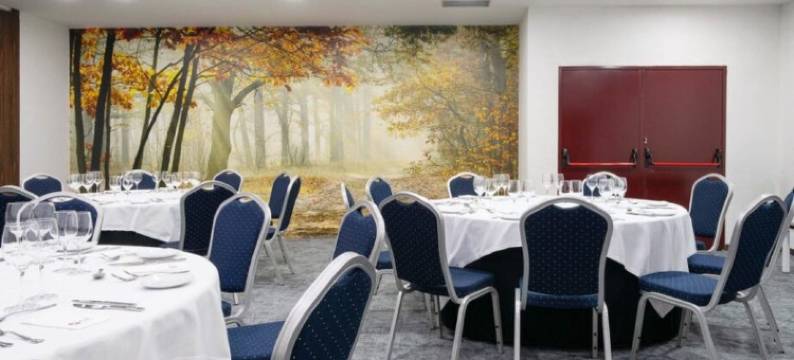 Exe 会议广场马德里(Exe Convention Plaza Madrid)图片