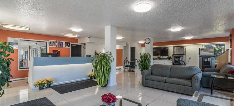 纽约奥尔巴尼 - 机场 6 号汽车旅馆(Motel 6 Albany, NY - Airport)图片